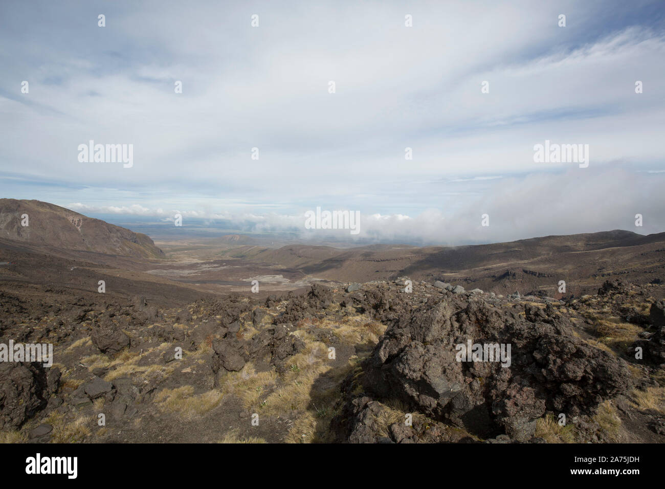 TONGARINO ALPINE CROSSING,NEW ZEALAND Stock Photo