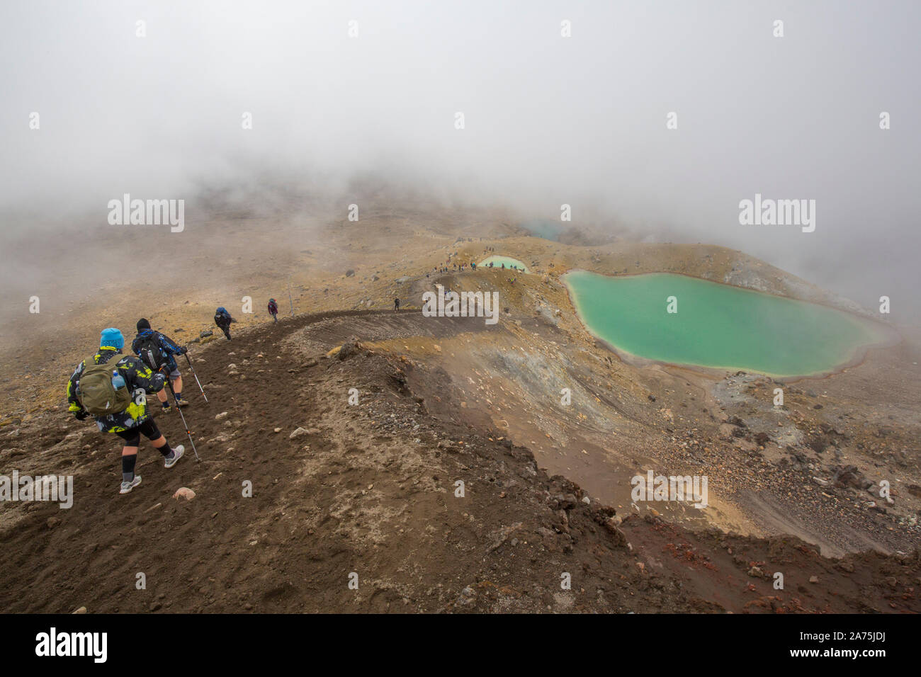 TONGARINO ALPINE CROSSING,NEW ZEALAND Stock Photo