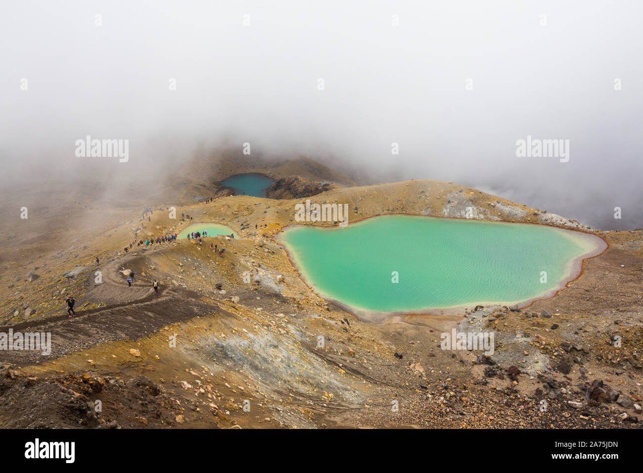 TONGARINO ALPINE CROSSING,NEW ZEALAND Stock Photo