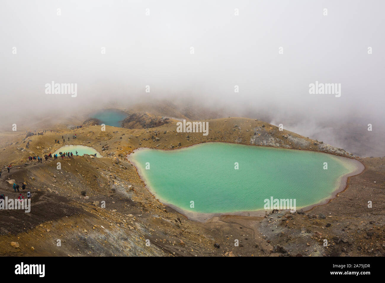 TONGARINO ALPINE CROSSING,NEW ZEALAND Stock Photo