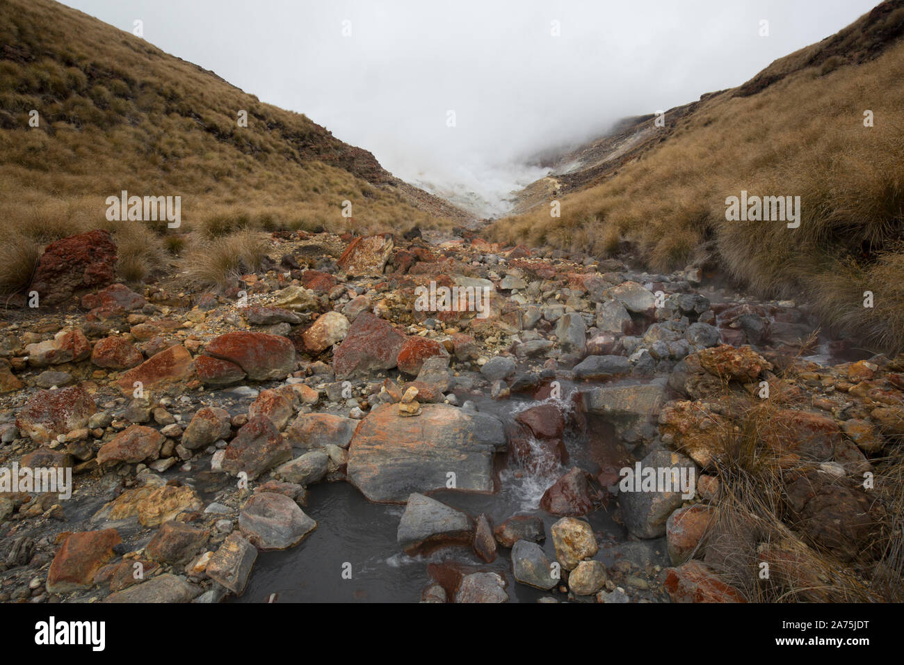 TONGARINO ALPINE CROSSING,NEW ZEALAND Stock Photo