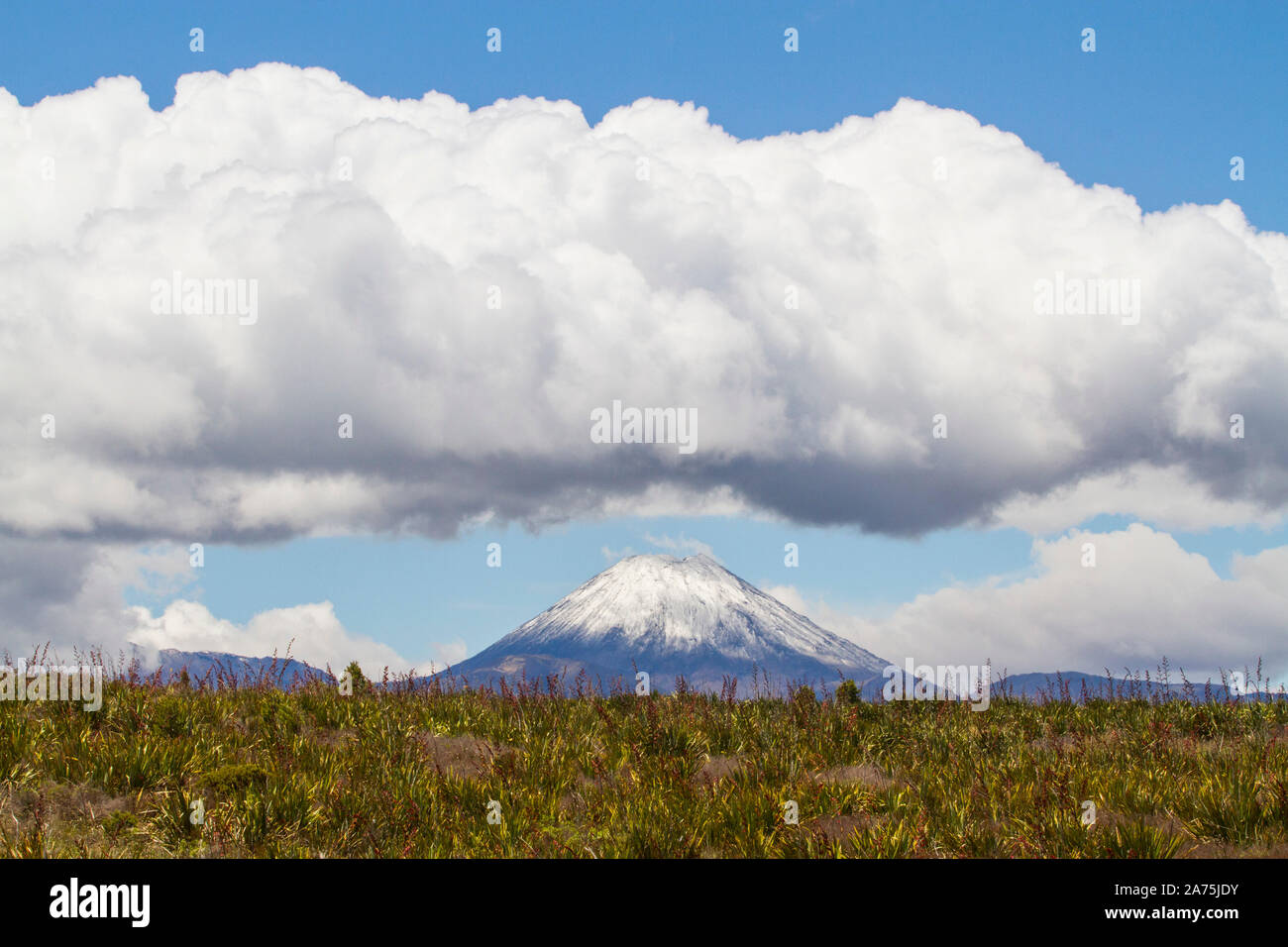 MOUNT NGAURUHOE, NEW ZEALAND Stock Photo