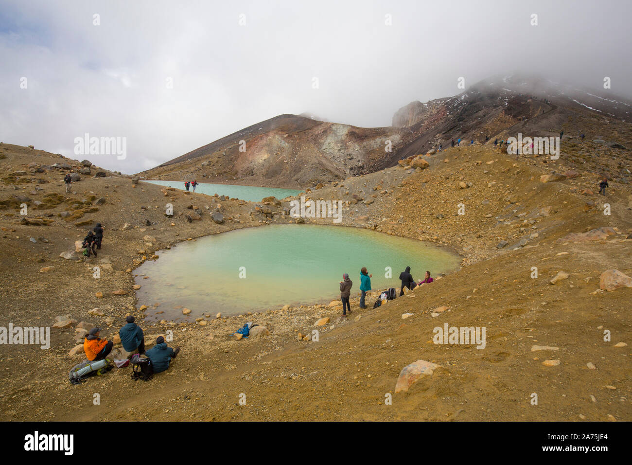 TONGARINO ALPINE CROSSING,NEW ZEALAND Stock Photo