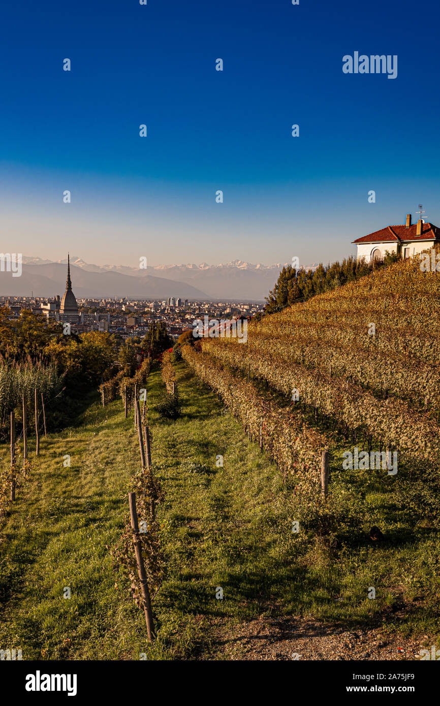 Italy Piedmont Turin - Villa della Regina - Royal vineyard and view of Turin from Belvedere superiore Stock Photo