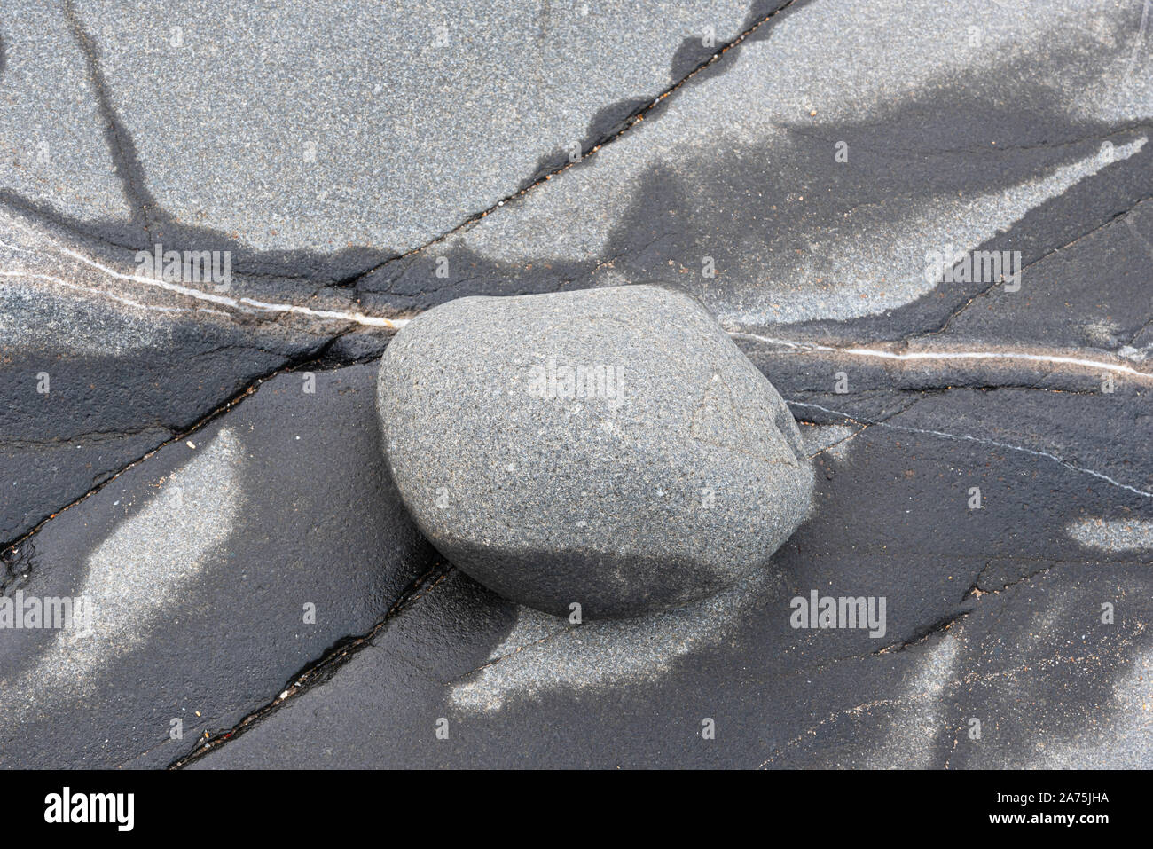 Grey beach pebble on rock Stock Photo - Alamy