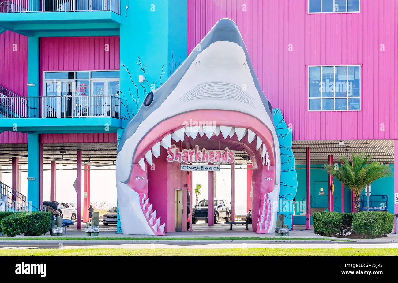 shark souvenir shop