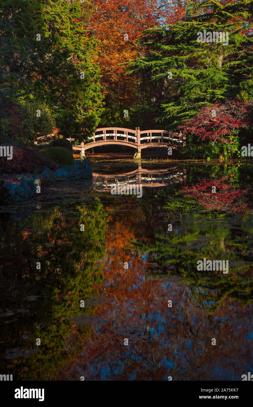 Wooden bridge garden hi-res stock photography and images - Alamy
