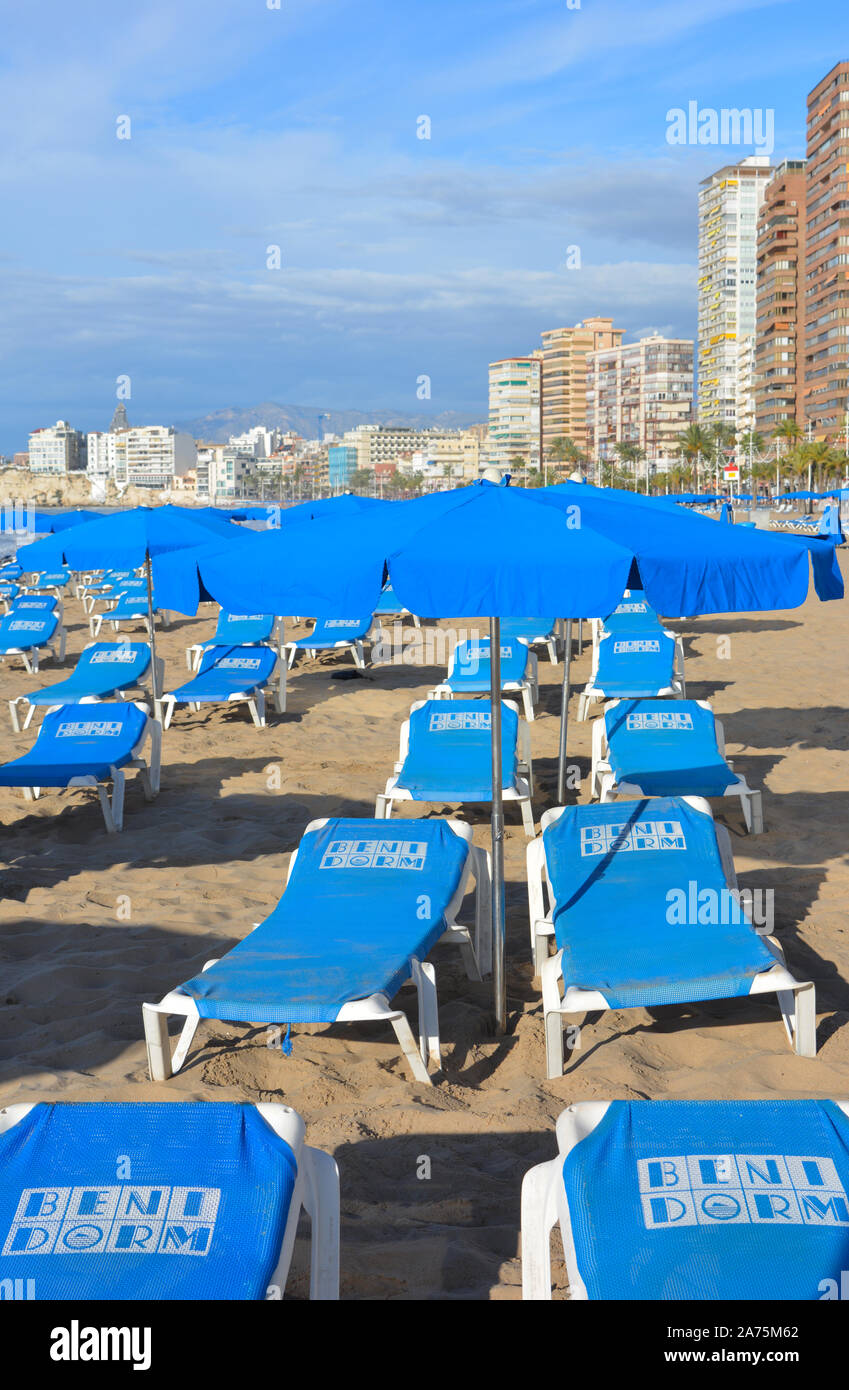 Playa Levante beach with sun beds and umbrellas for hire, early morning  before the tourists arrive, Benidorm, Alicante Province, Spain Stock Photo  - Alamy