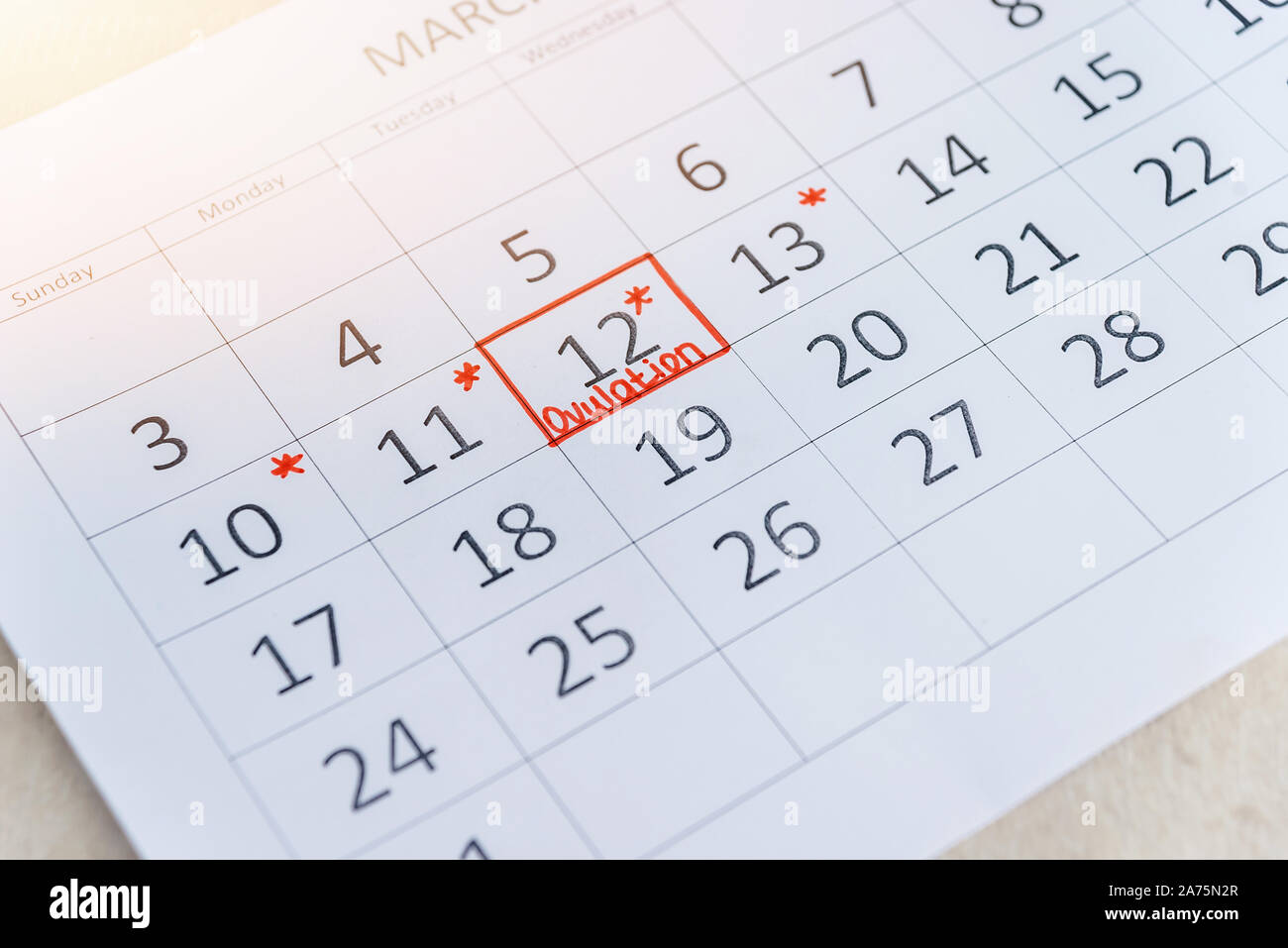Circling date in calendar. Planning of pregnancy, trying to have baby. Stock Photo