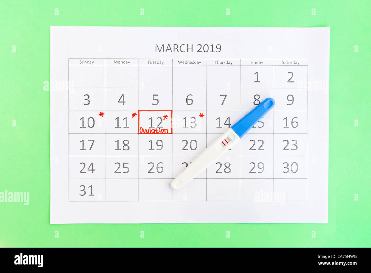 Positive pregnancy test with circling date in calendar. Planning of pregnancy, trying to have baby. Stock Photo