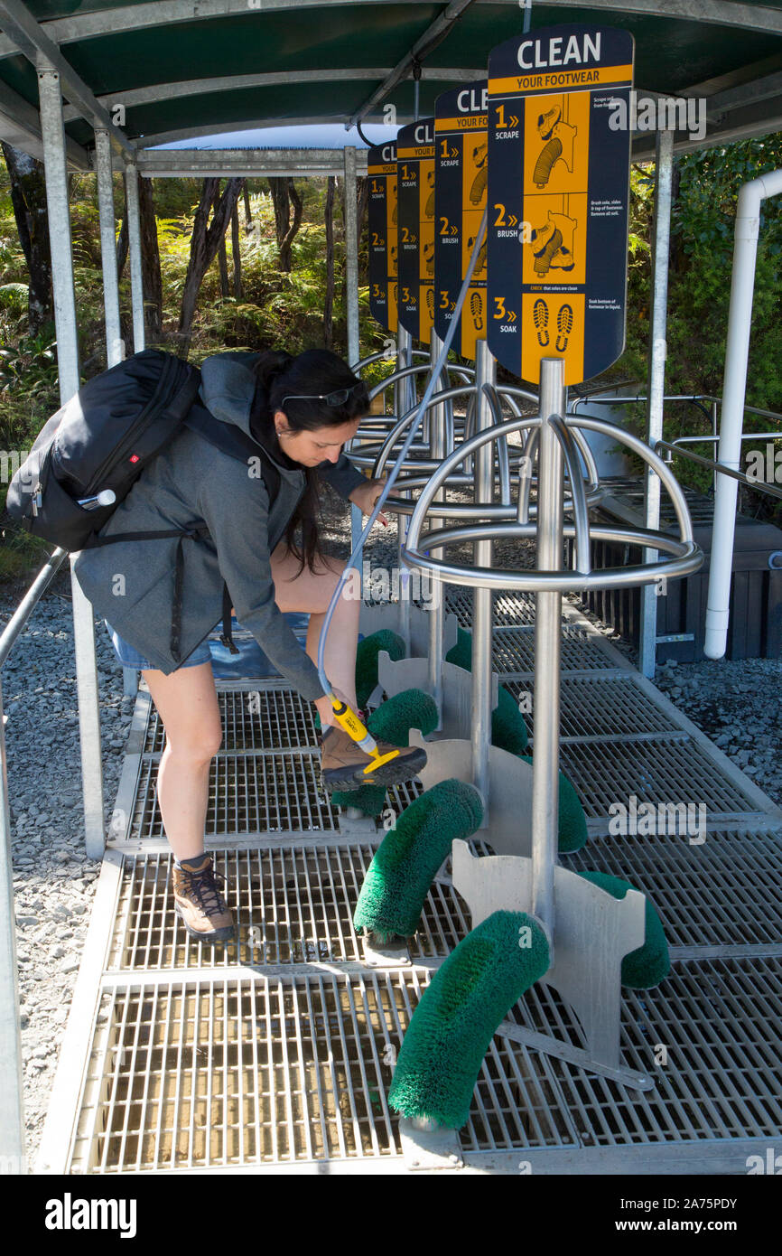 SCRUB YOUR SHOES AFTER KAURI FOREST TREKKING,NEW ZEALAND Stock Photo