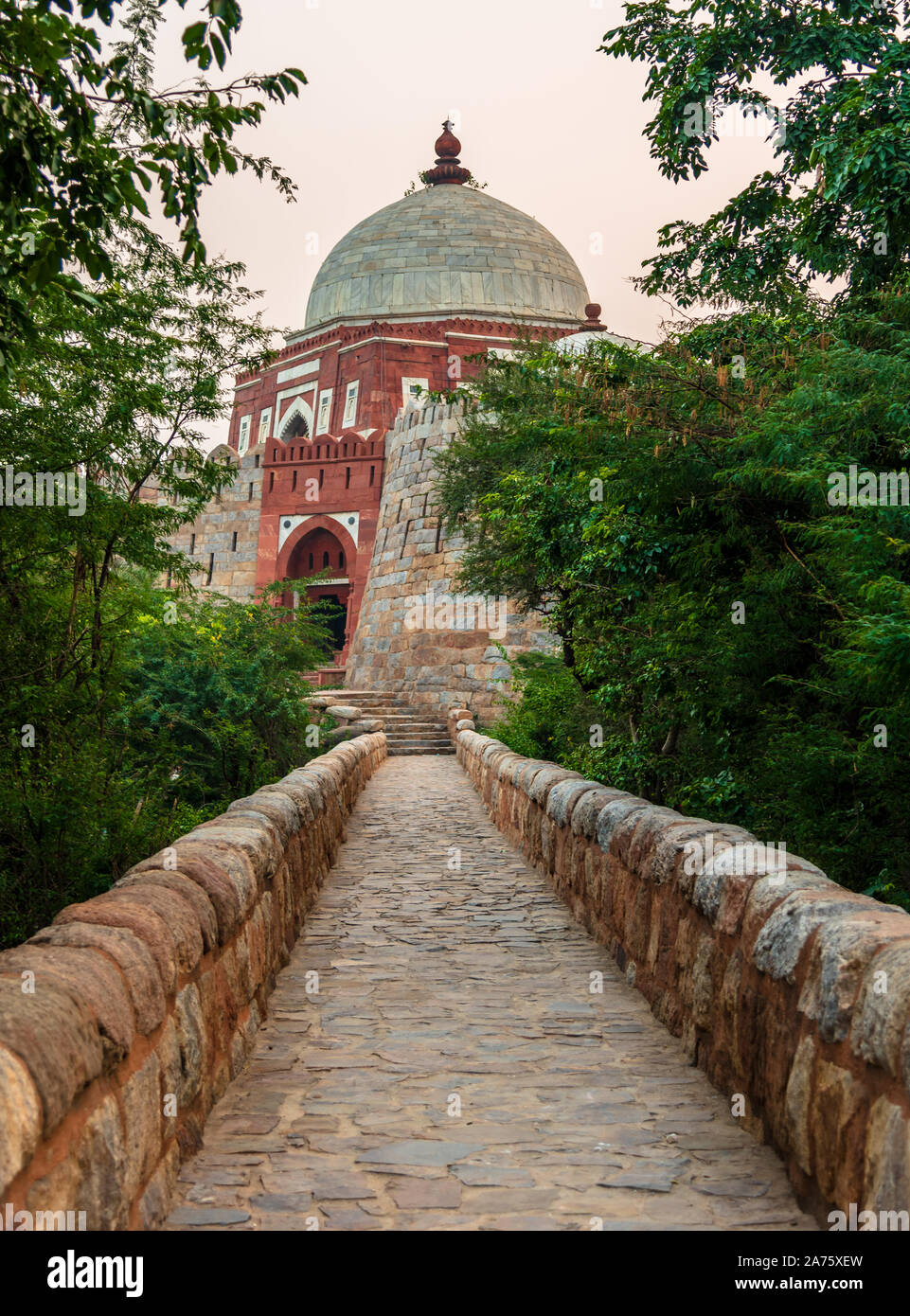 Haqiqatan ham bir-birining eshagiga tik yopishib