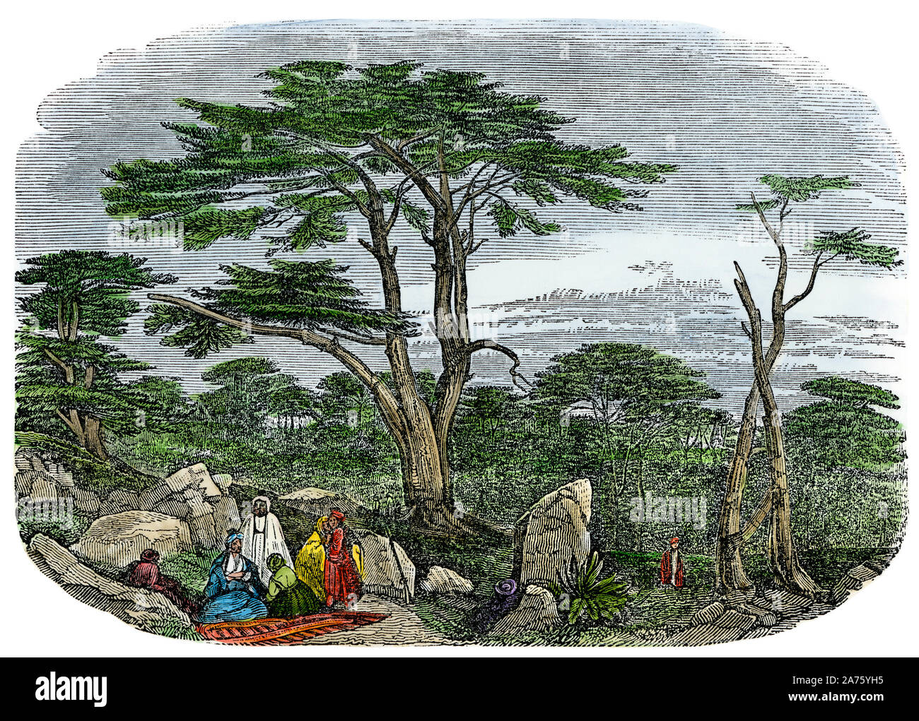 Travelers resting among cedars of Lebanon. Hand-colored woodcut Stock Photo