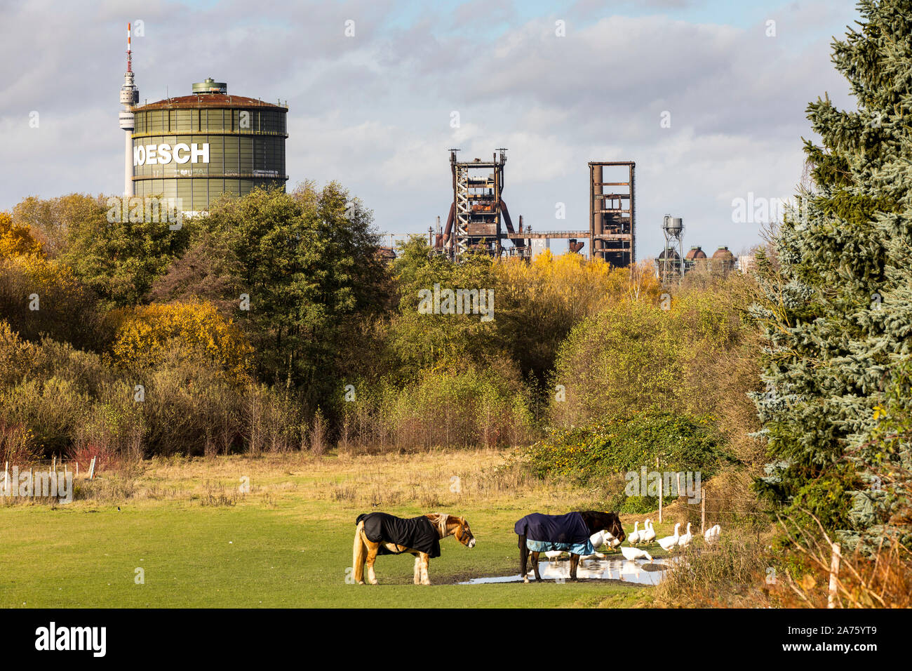 View from Dortmund-Hörde, Pferdekoppel, onto the former Hoesch steelworks, Phoenix-West, gasometer, blast furnaces, Florian tower at the back left, te Stock Photo