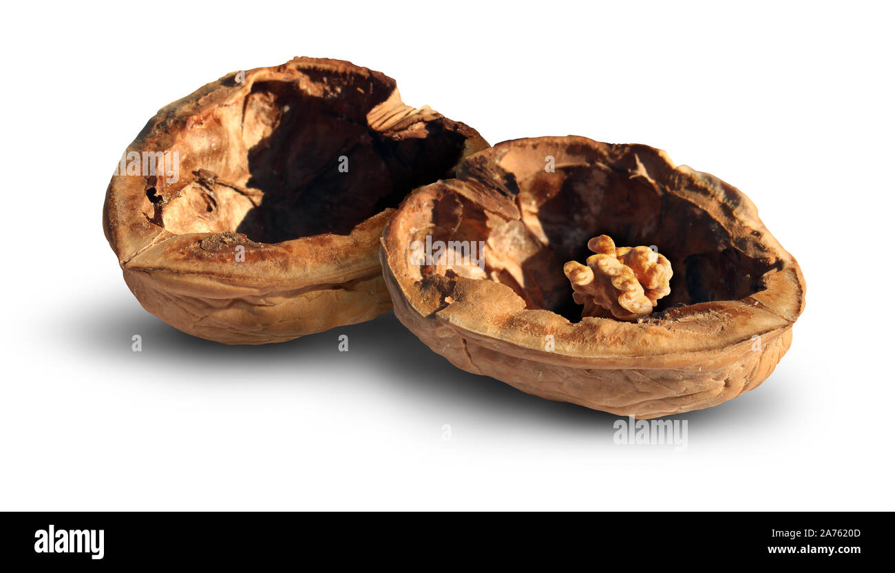 Bad investment return and shrinking savings as a financial metaphor and business failure concept as a walnut with a very small nut inside. Stock Photo