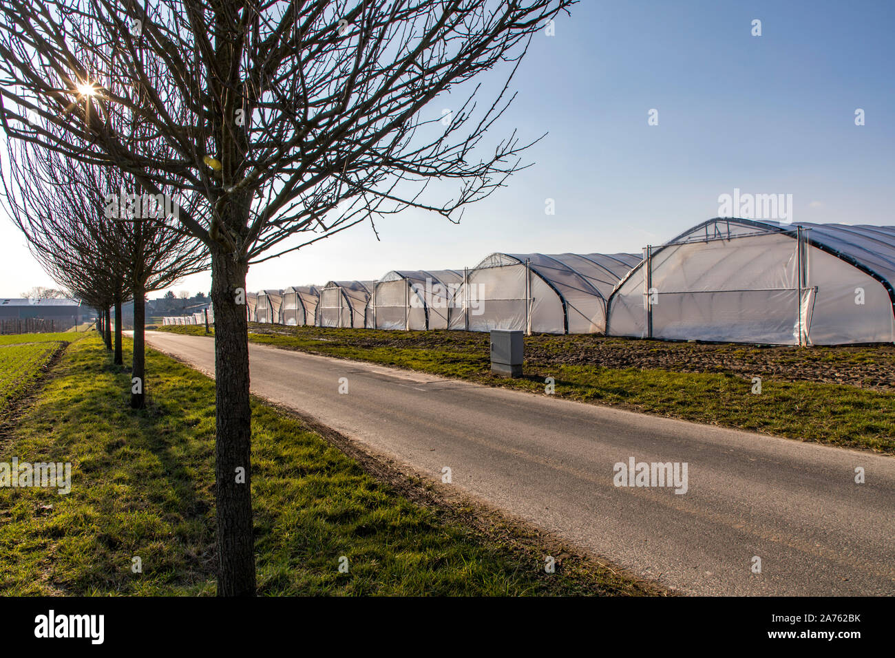 Greenhouses, mobile, made of plastic, foil tunnels, for the rapid