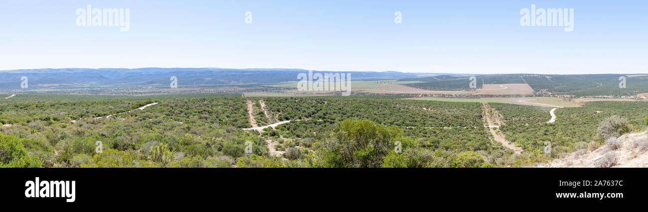 Addo Elephant National Park overview panorama from the Zuurkop Lookout, Eastern Cape, South Africa Stock Photo
