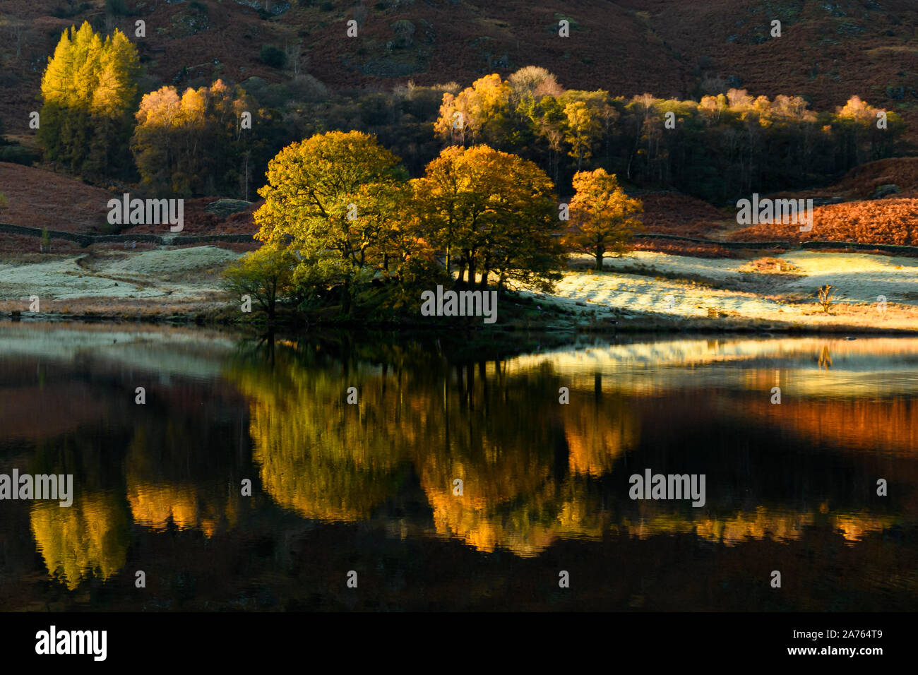 Dramatic early morning autumn reflections on Rydal Water Stock Photo