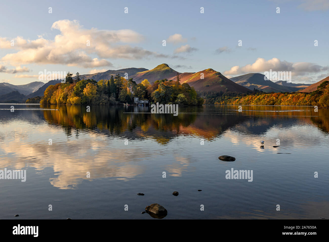 Early morning autumnal sun catching Derwent Isle and Cat Bells Stock Photo