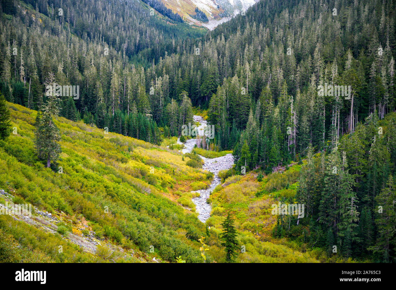 Valley with fall colors and evergreen trees Stock Photo