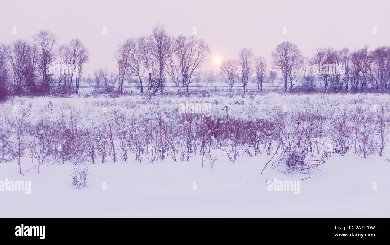 Beautiful winter landscape in magic sunset light, winter nature. Stock Photo
