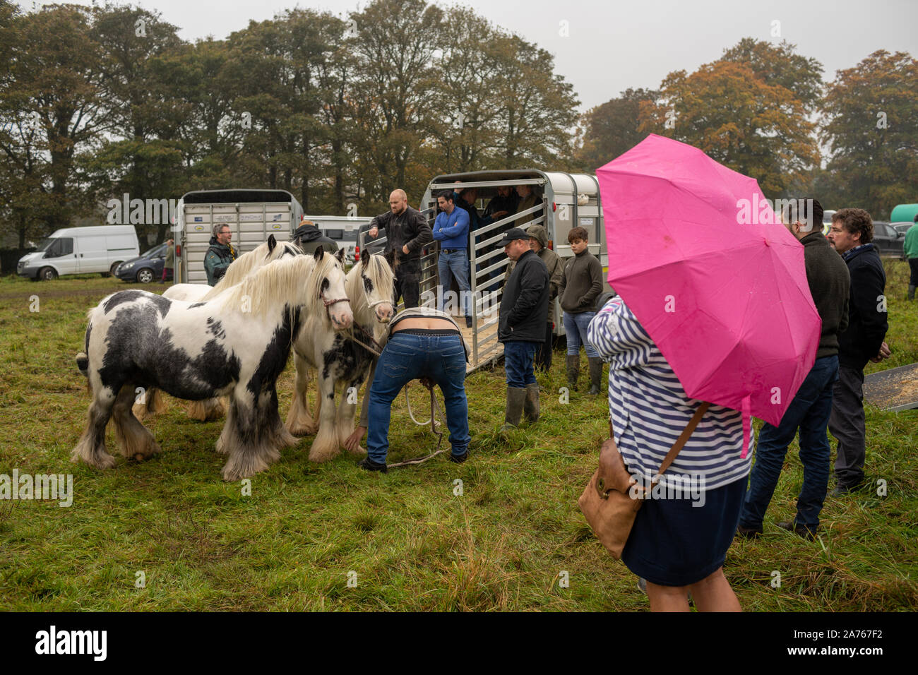 Stow horse fair cotswolds hires stock photography and images Alamy