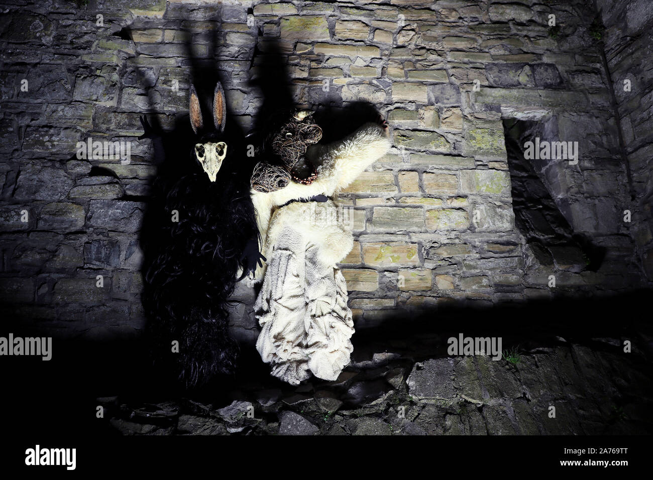 Puca ireland hires stock photography and images Alamy