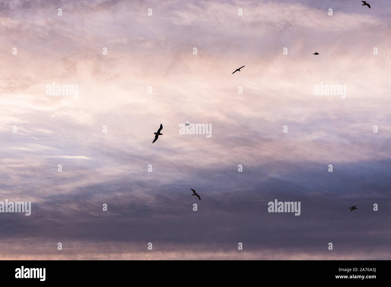 Flying among ocean clouds in hi-res stock photography and images - Alamy
