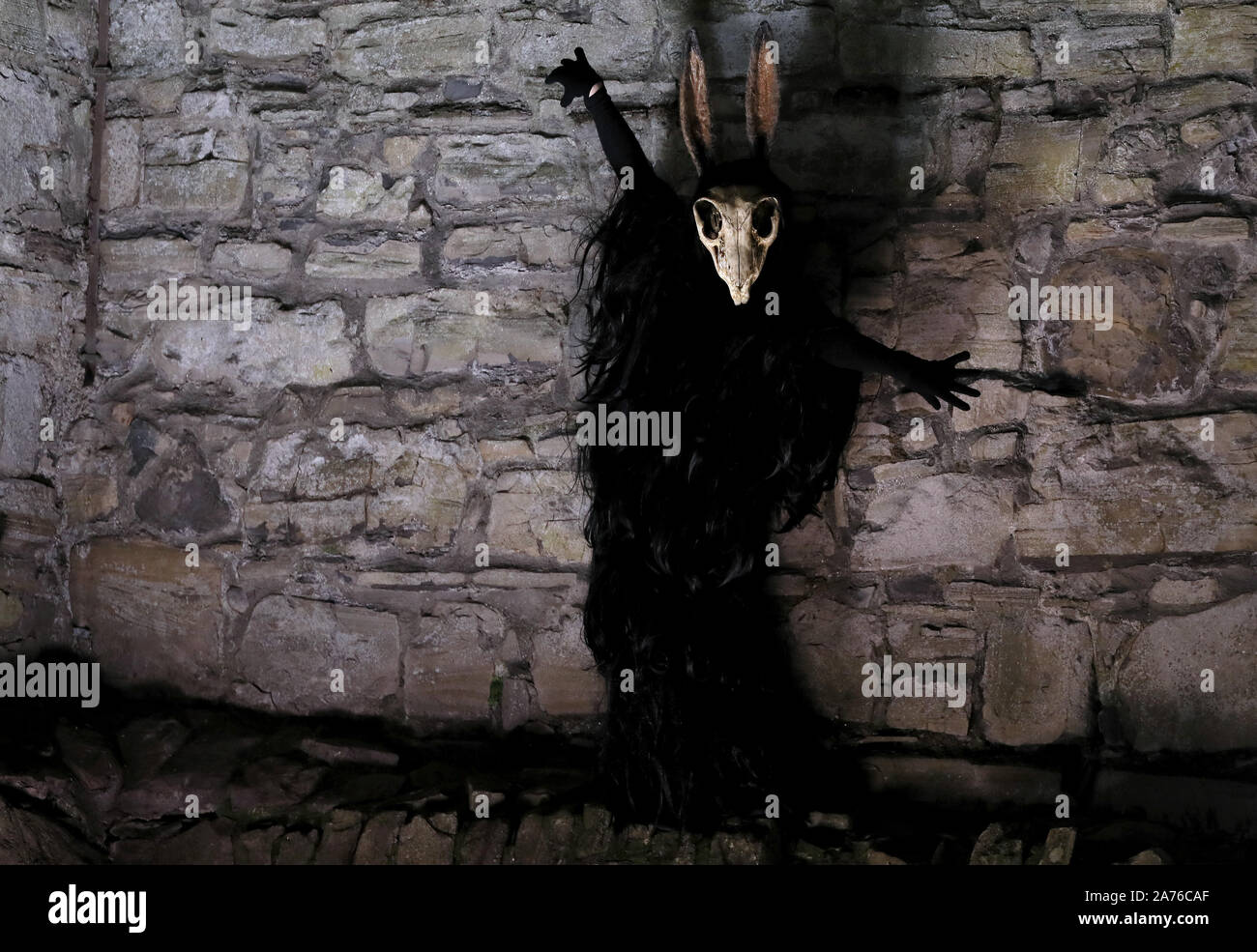 Puca festival hires stock photography and images Alamy