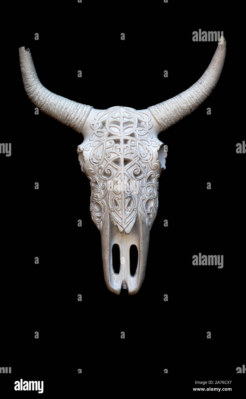 Bull Skull Stock Photos Bull Skull Stock Images Alamy