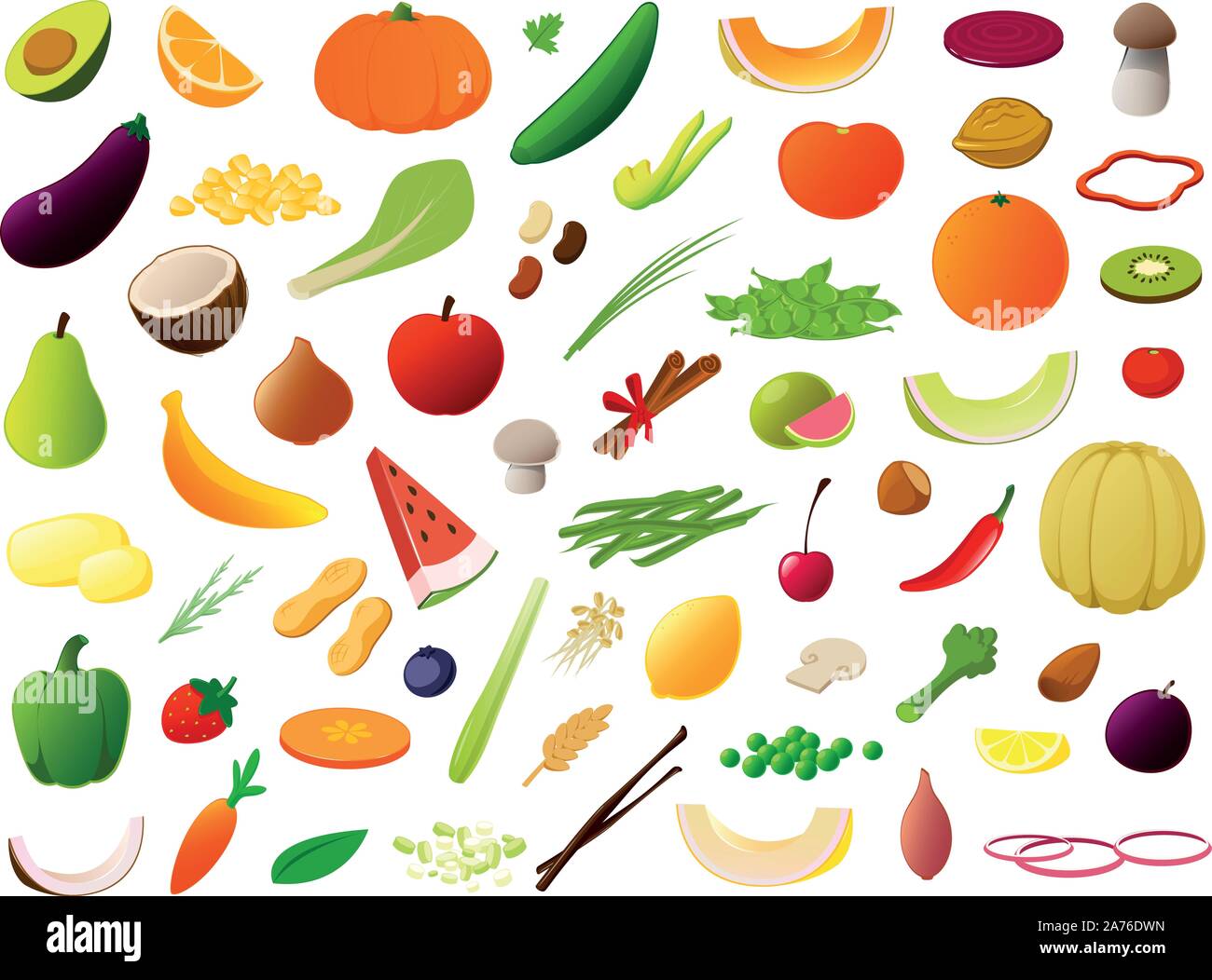 Vector illustration of various vegetables, fruits, nuts and other supermarket foods Stock Vector