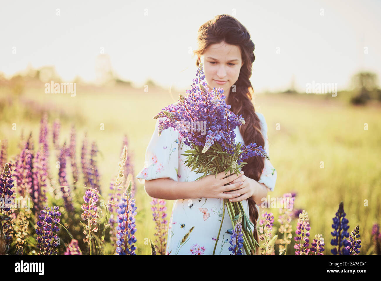 Beautiful girl in dress holding a lupine at sunset on the field. The ...