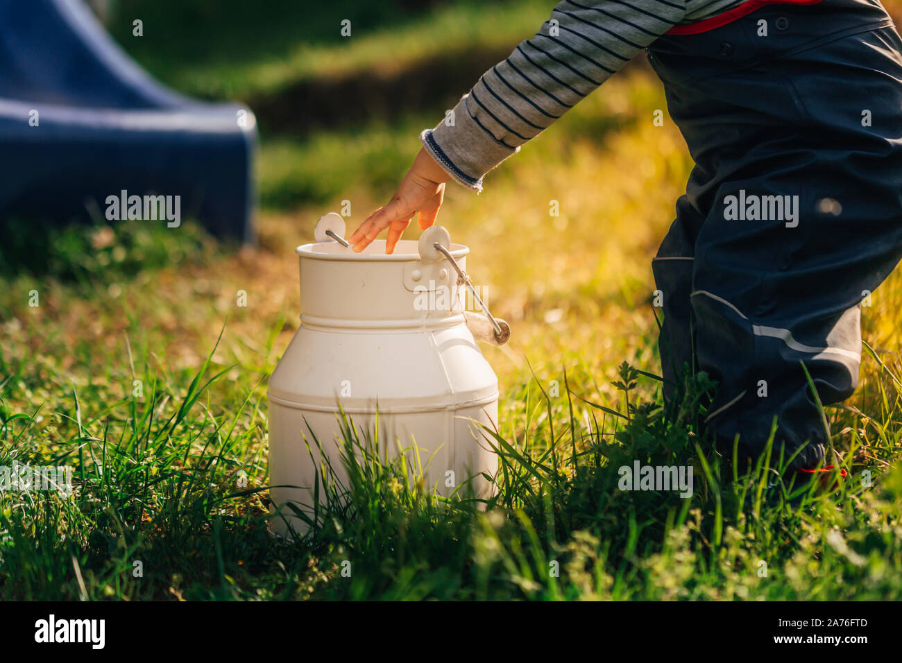 Young child between one and two years old collecting pine cones throwing them in a milk can in the garden of a farm while the warm summer sun is Stock Photo