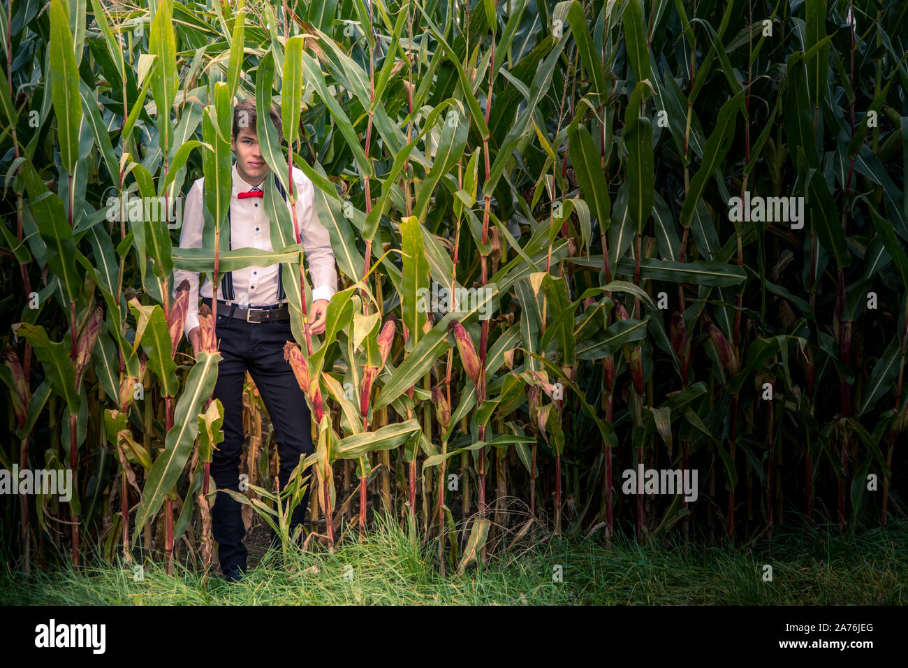 Lost Jungle Man High Resolution Stock Photography and Images - Alamy
