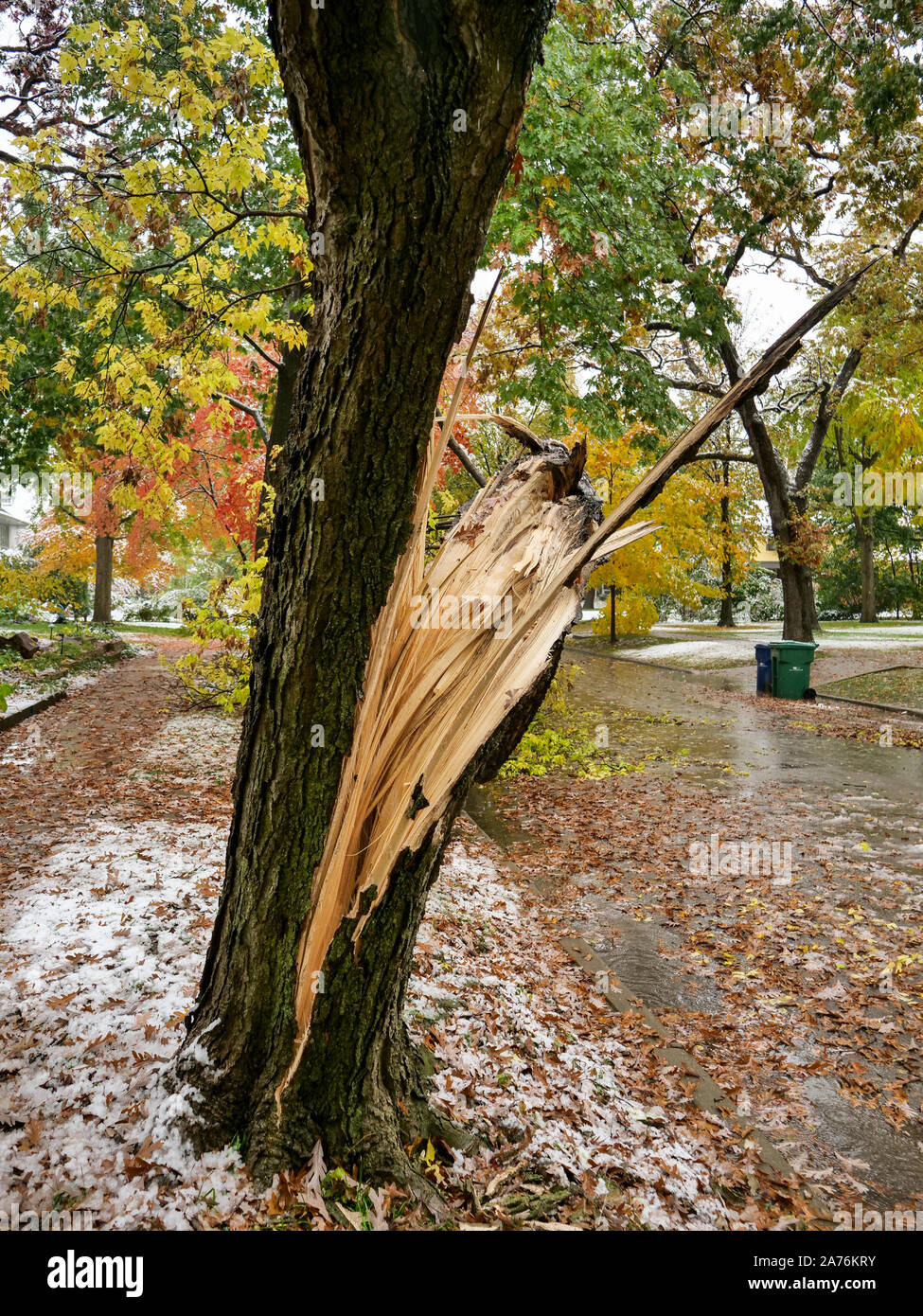 Unseasonable hi-res stock photography and images - Alamy