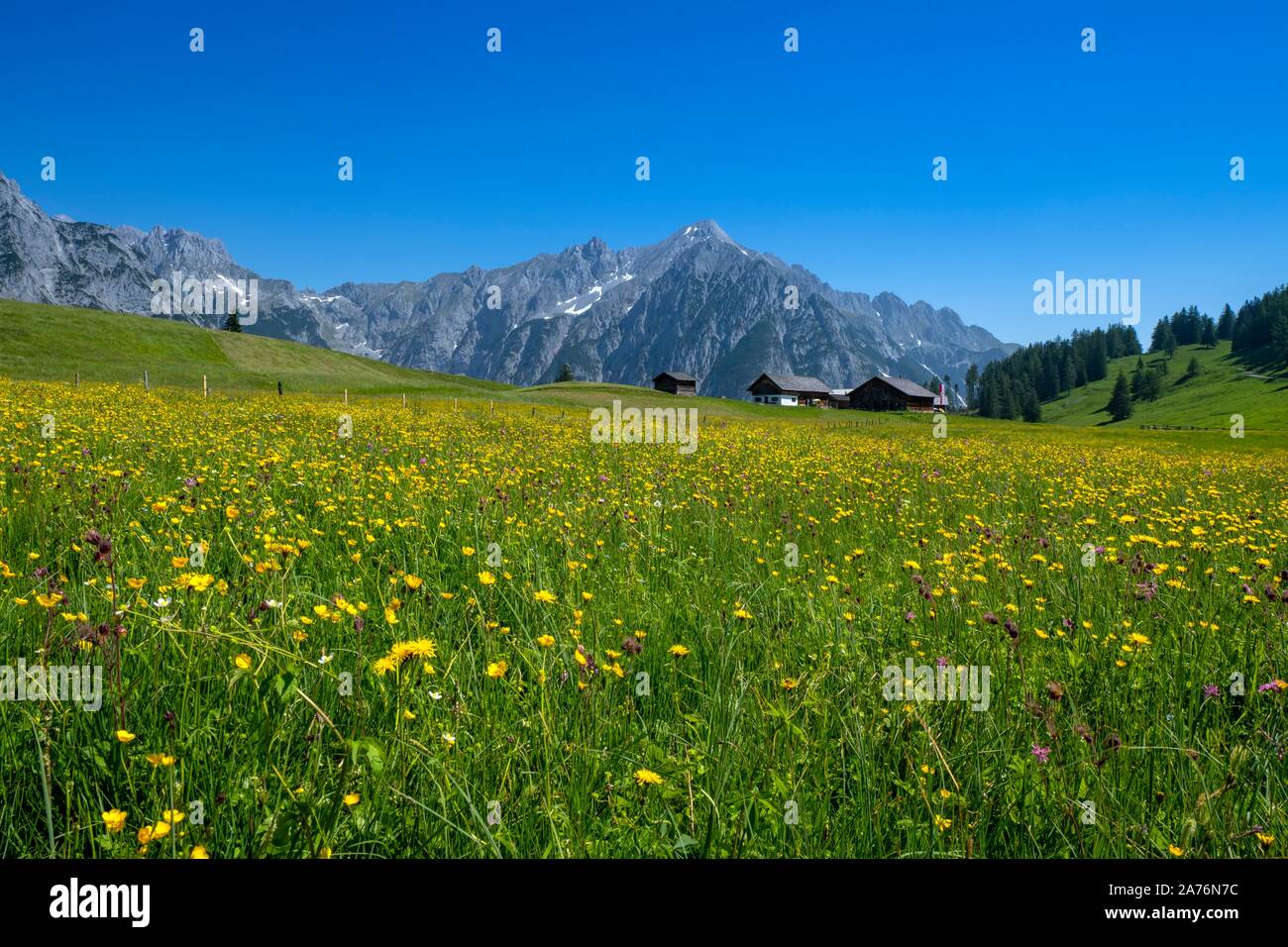Walder-Alm, behind it Karwendel mountains, Gnadenwald, Tyrol, Austria Stock Photo
