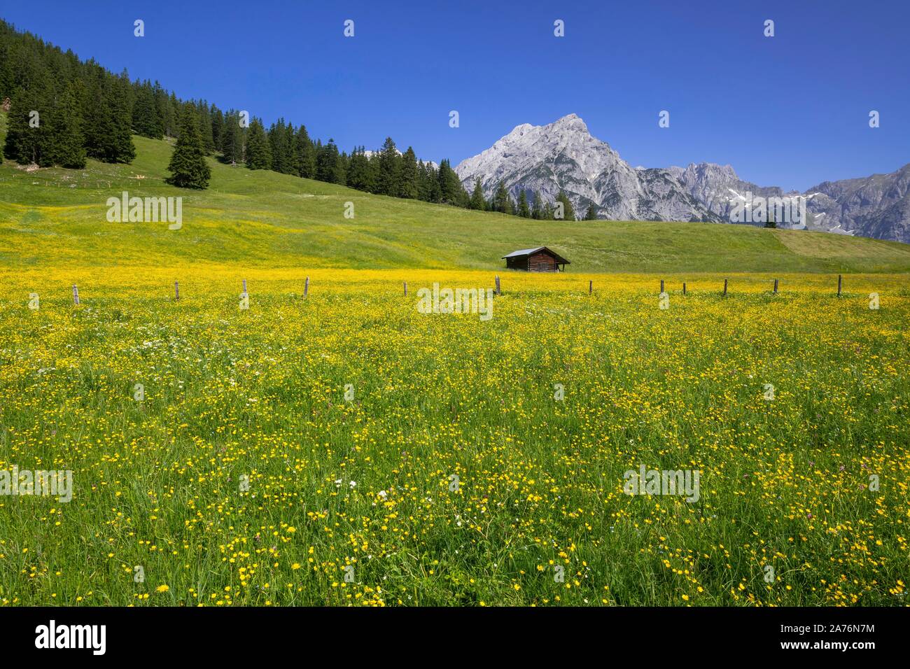 Walder-Alm, behind it Karwendel mountains, Gnadenwald, Tyrol, Austria Stock Photo