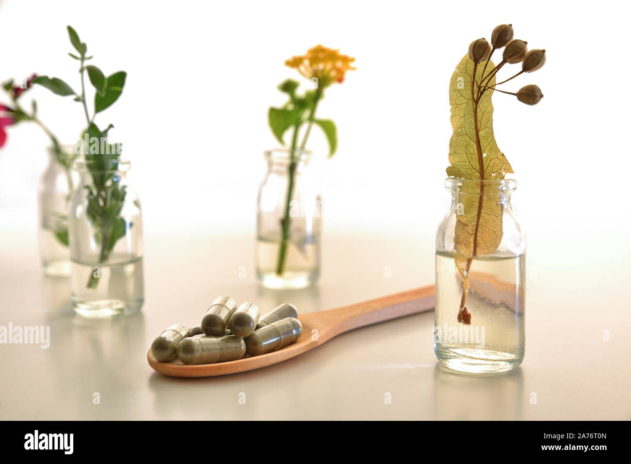 Bottles with plant essence liquid with plants inside and natural herb capsules on white table. Alternative natural medicine concept. Front view. Horiz Stock Photo