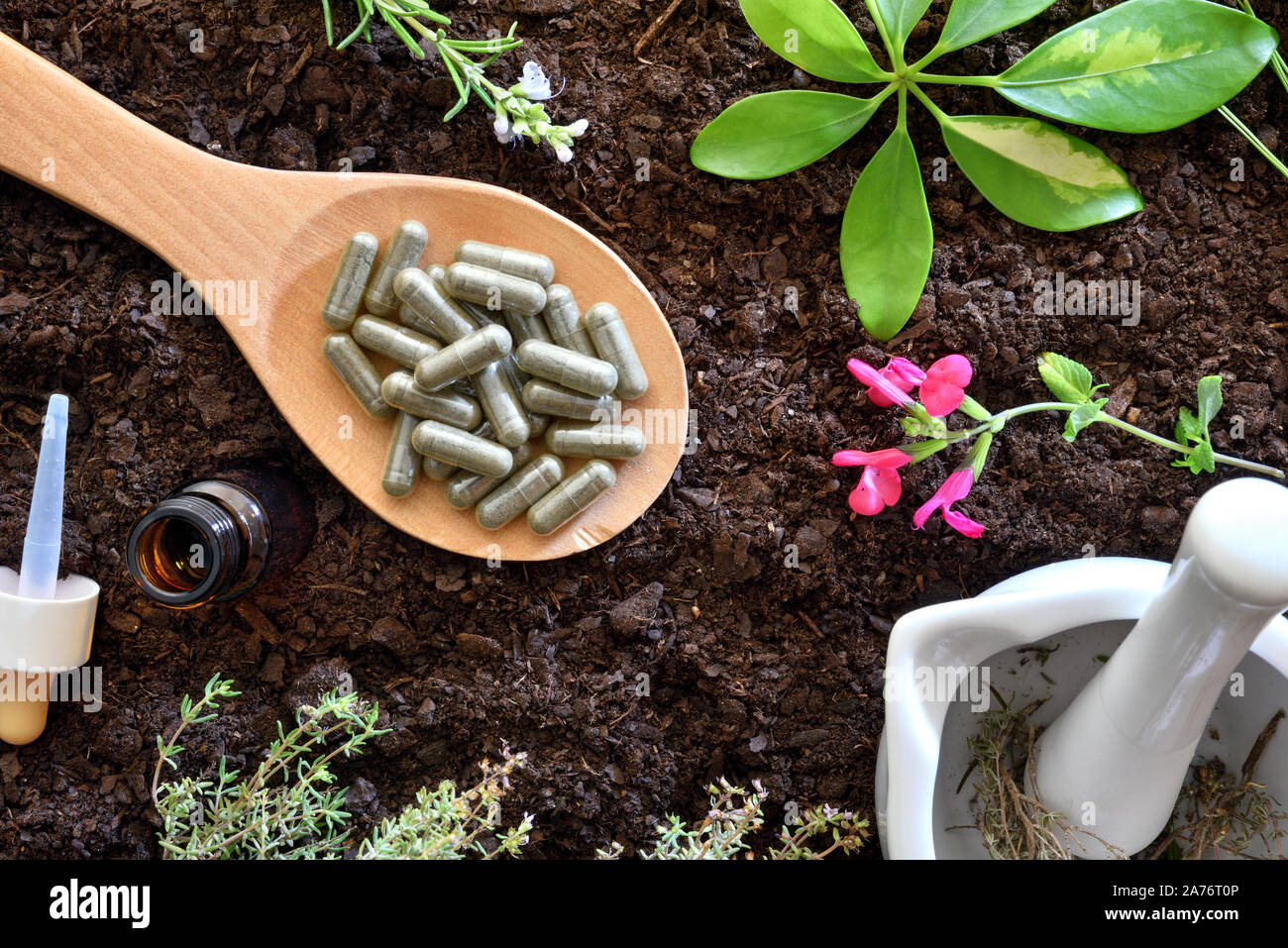 Elaboration of natural plant medicine with mortar, wooden spoon with capsules, dropper bottle and plants on soil. Alternative natural medicine concept Stock Photo