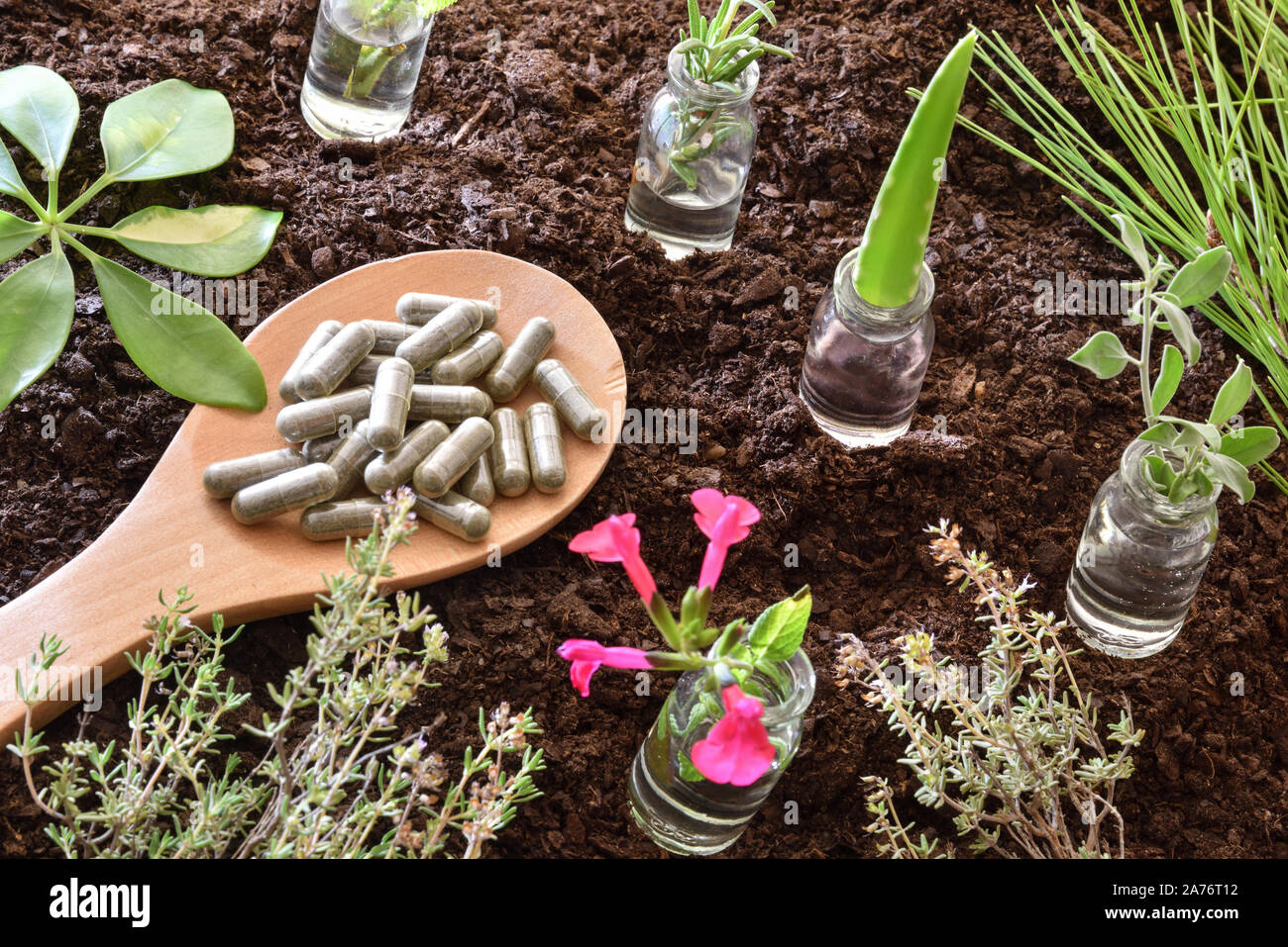 Jars with plants inside and spoon with capsules on soil. Alternative natural medicine concept. Elevated view. Horizontal composition. Stock Photo