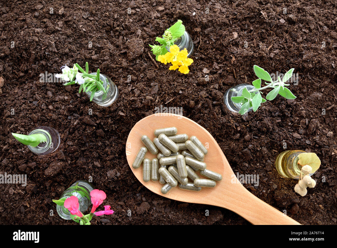 Jars with plants inside and spoon with capsules on soil. Alternative natural medicine concept. Top view. Horizontal composition. Stock Photo