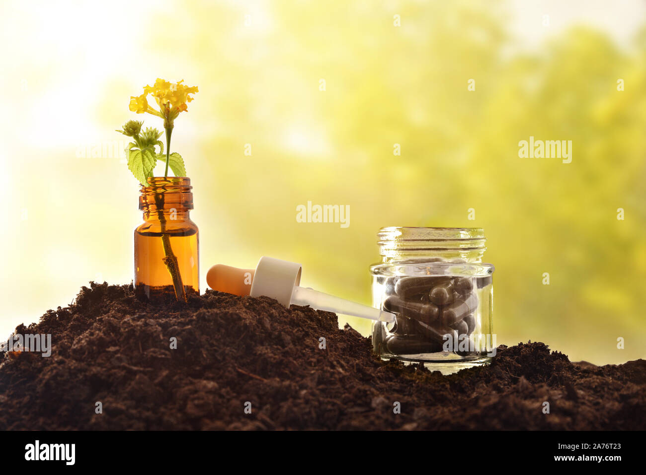 Glass jar with plant with yellow flower inside and pot with capsules on soil and green nature background. Alternative natural medicine concept. Front Stock Photo
