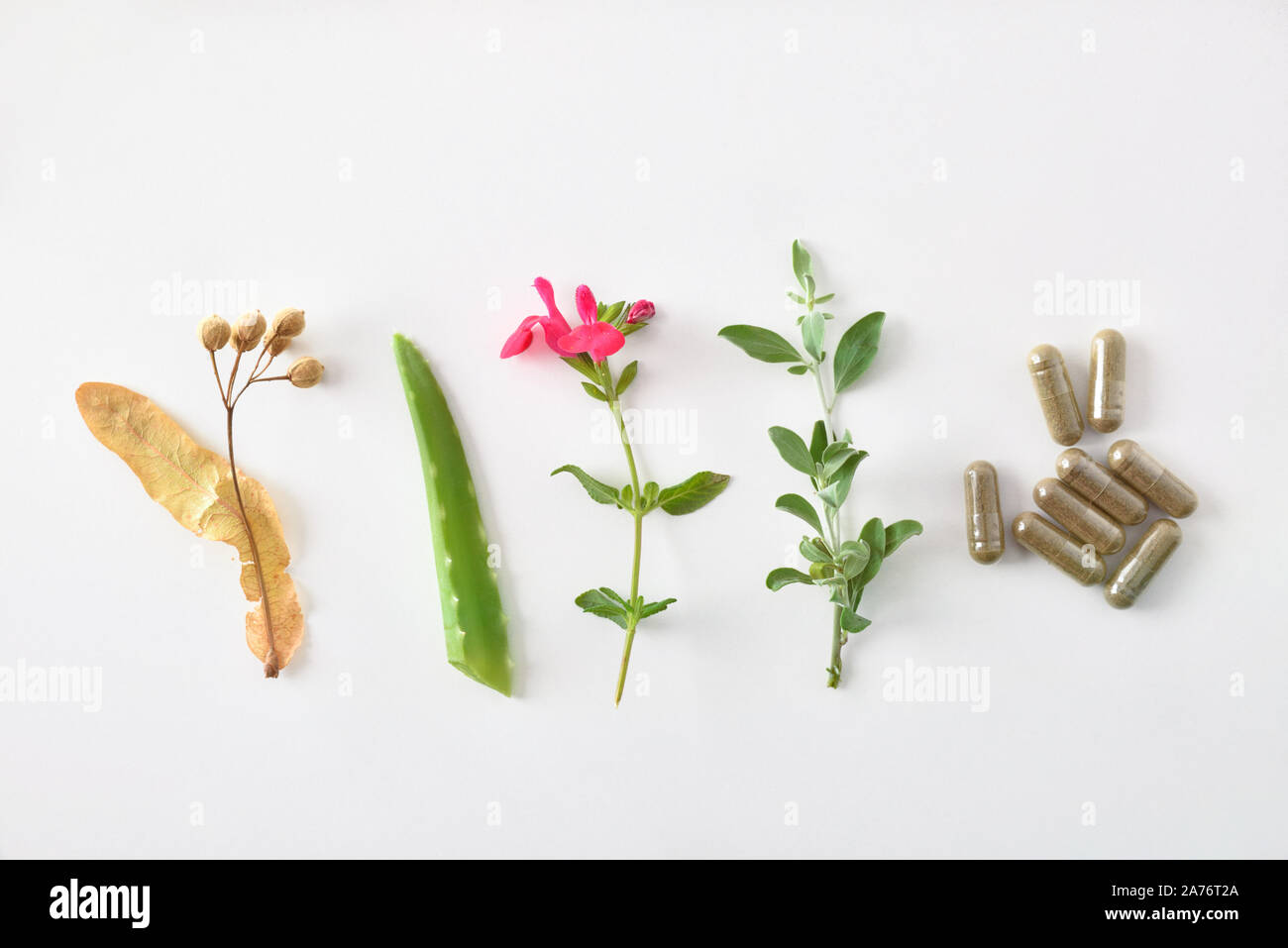 Concept of traditional natural medicine with plants and natural capsules on white table. Natural medicine concept. Top view. Horizontal composition. Stock Photo
