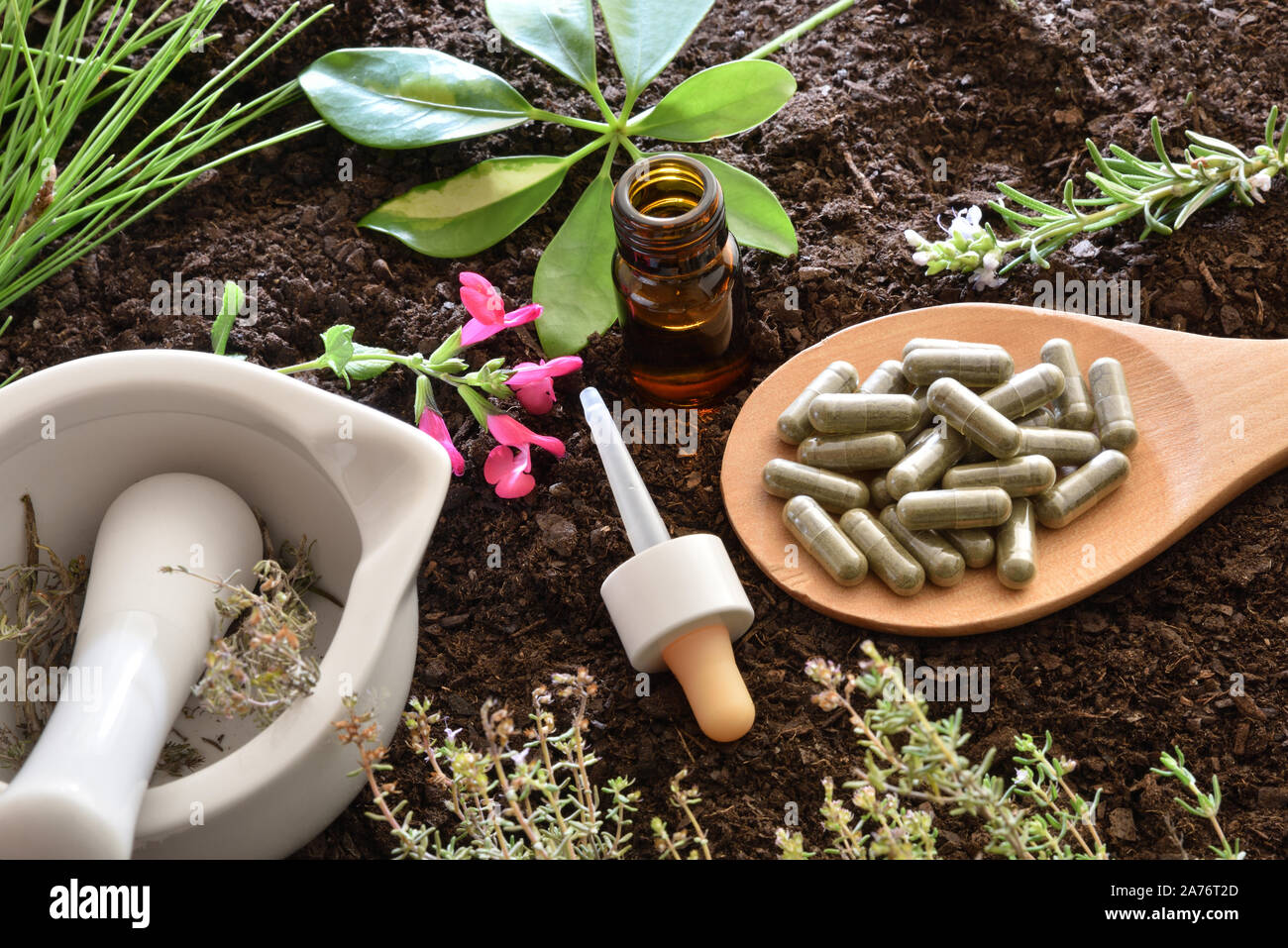 Preparation of natural plant medicine with mortar, wooden spoon with capsules, dropper bottle and plants on soil. Alternative natural medicine concept Stock Photo