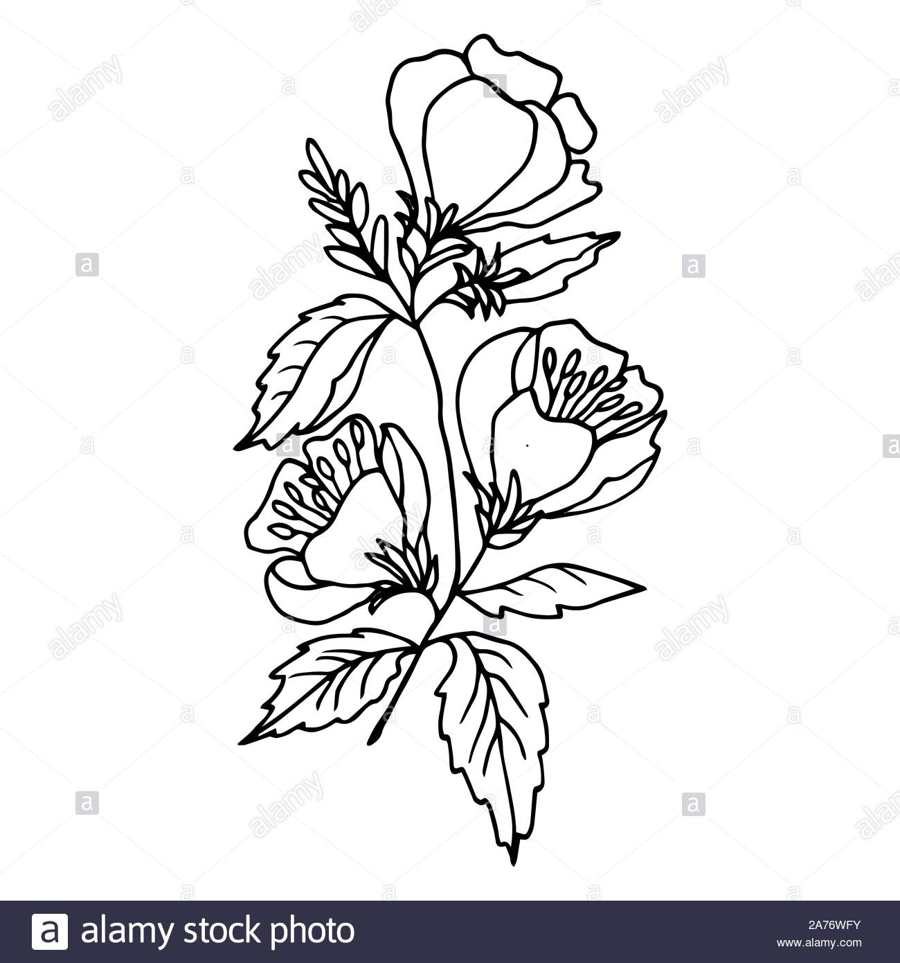 Traditional Apple Blossom Tattoo Elegant Arts Tattoo Traditional Apple Blossom Tattoo Elegant Arts Tattoo