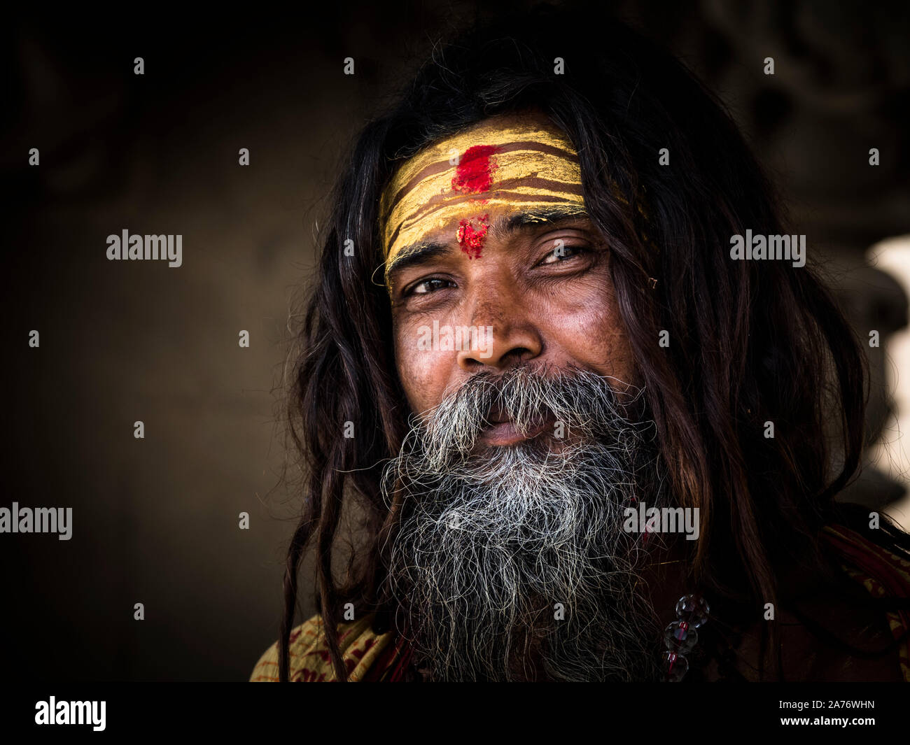Holy man in Varanasi Stock Photo Alamy
