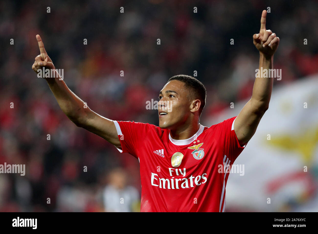 Lisbon, Portugal. 30th Oct, 2019. during the Portuguese League football  match between SL Benfica and Portimonense