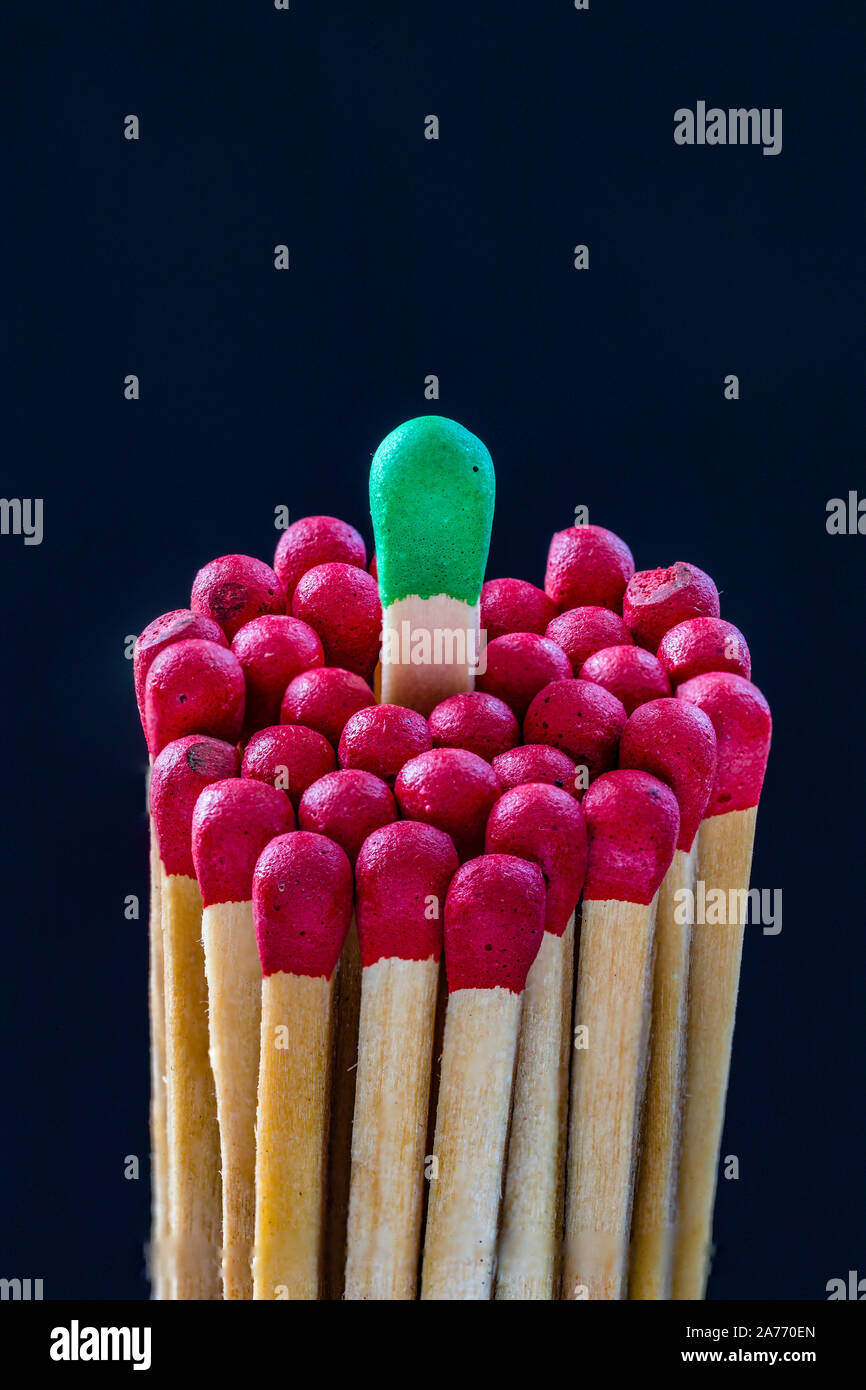 concept illustration using burnt wooden match in bundle of unused