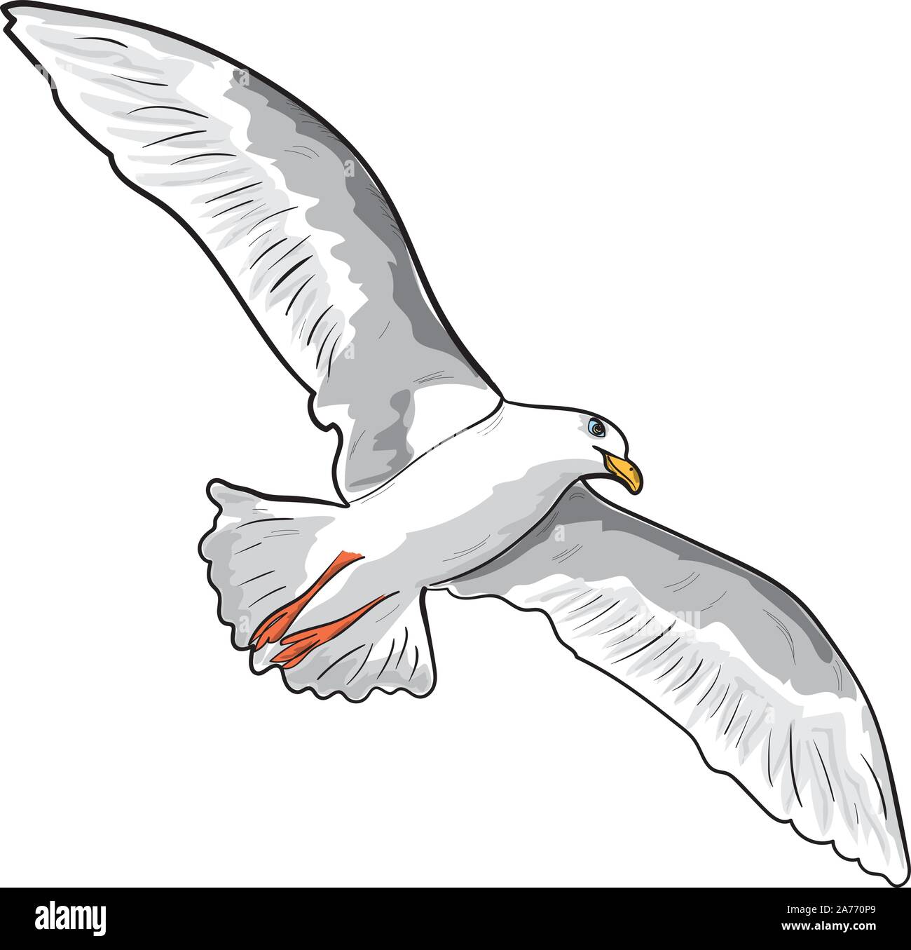 Flying Seagull With Widespread Wings Over White Stock Vector