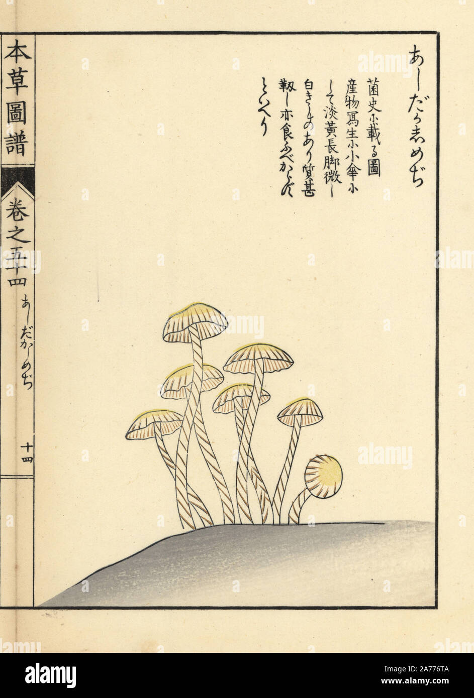 Page 6 Ukiyoe High Resolution Stock Photography And Images Alamy